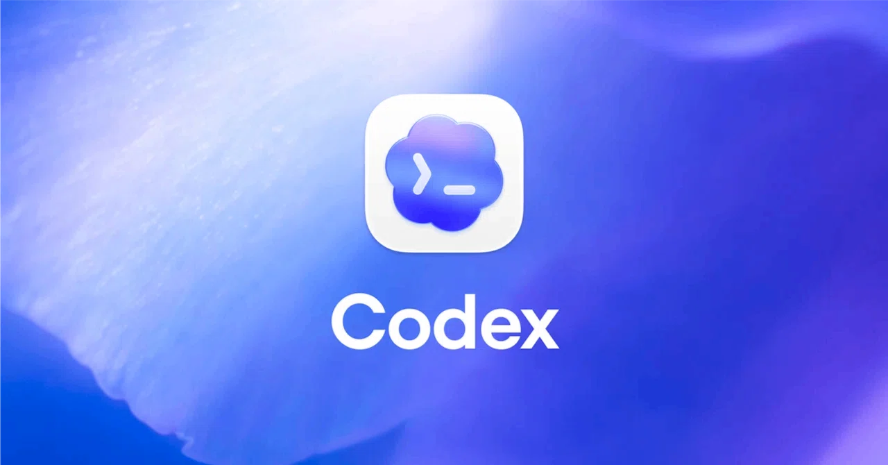 Codex 使用教程截图